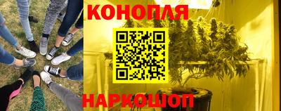 трава Краснодар