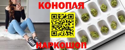 спайс Краснознаменск