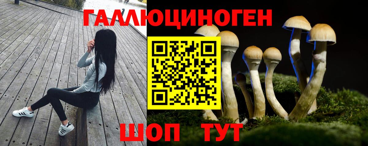 Псилоцибиновые грибы GOLDEN TEACHER  Вход с VPN  Галлюциногенные грибы прущие грибы  Кострома 